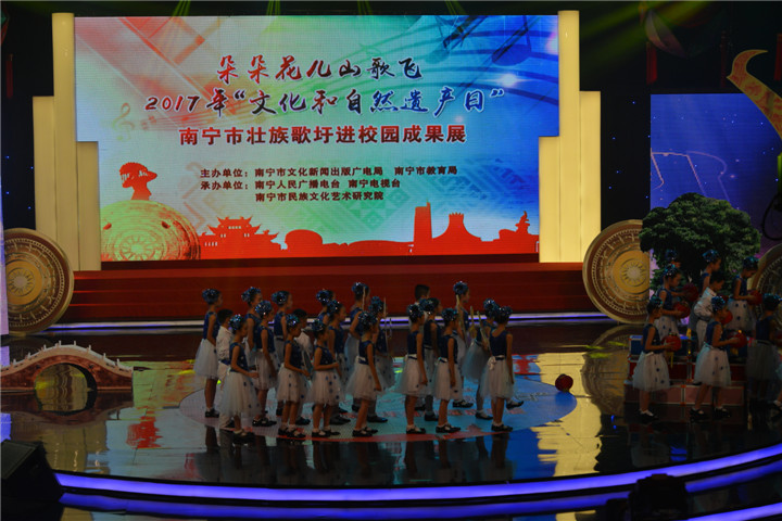 江南区2017年首个“文化和自然遗产日”非遗活动精彩纷呈