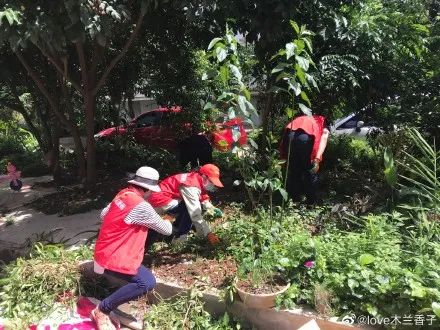 文明城市，请您来参与！看到这类情况，直接拨打电话4801704