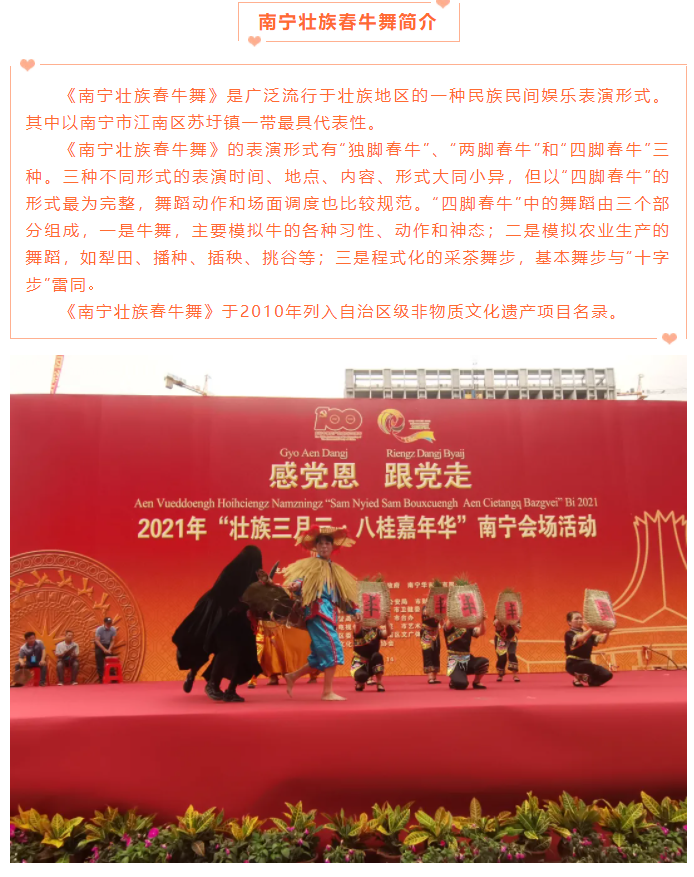 壮族三月三 ||南宁壮族春牛舞