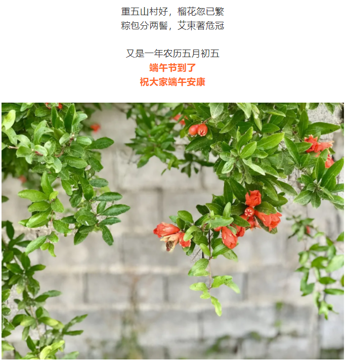 今日端午