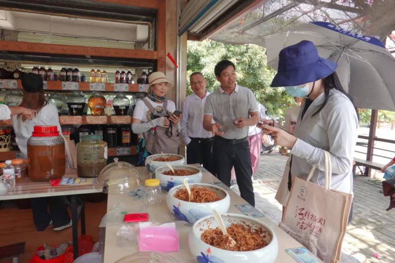 “网络名人江南行”开启扬美古镇之旅