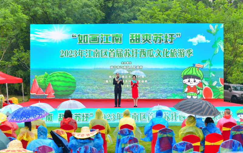 “如画江南 甜爽苏圩”2023年江南区首届苏圩西瓜文化旅游季正式开启！