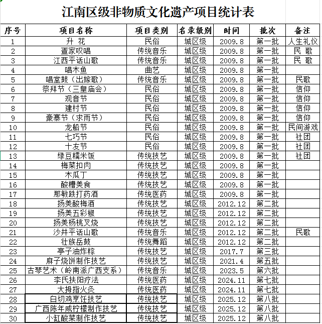 江南区级非遗项目统计表